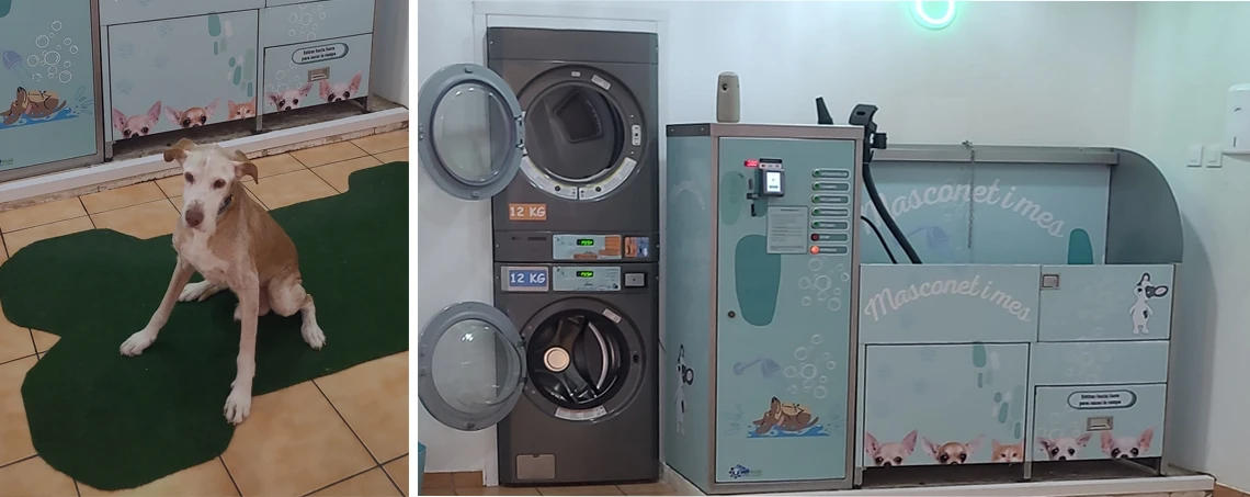 cómo lavar ropa viajando LAVANDERRIA para mascota