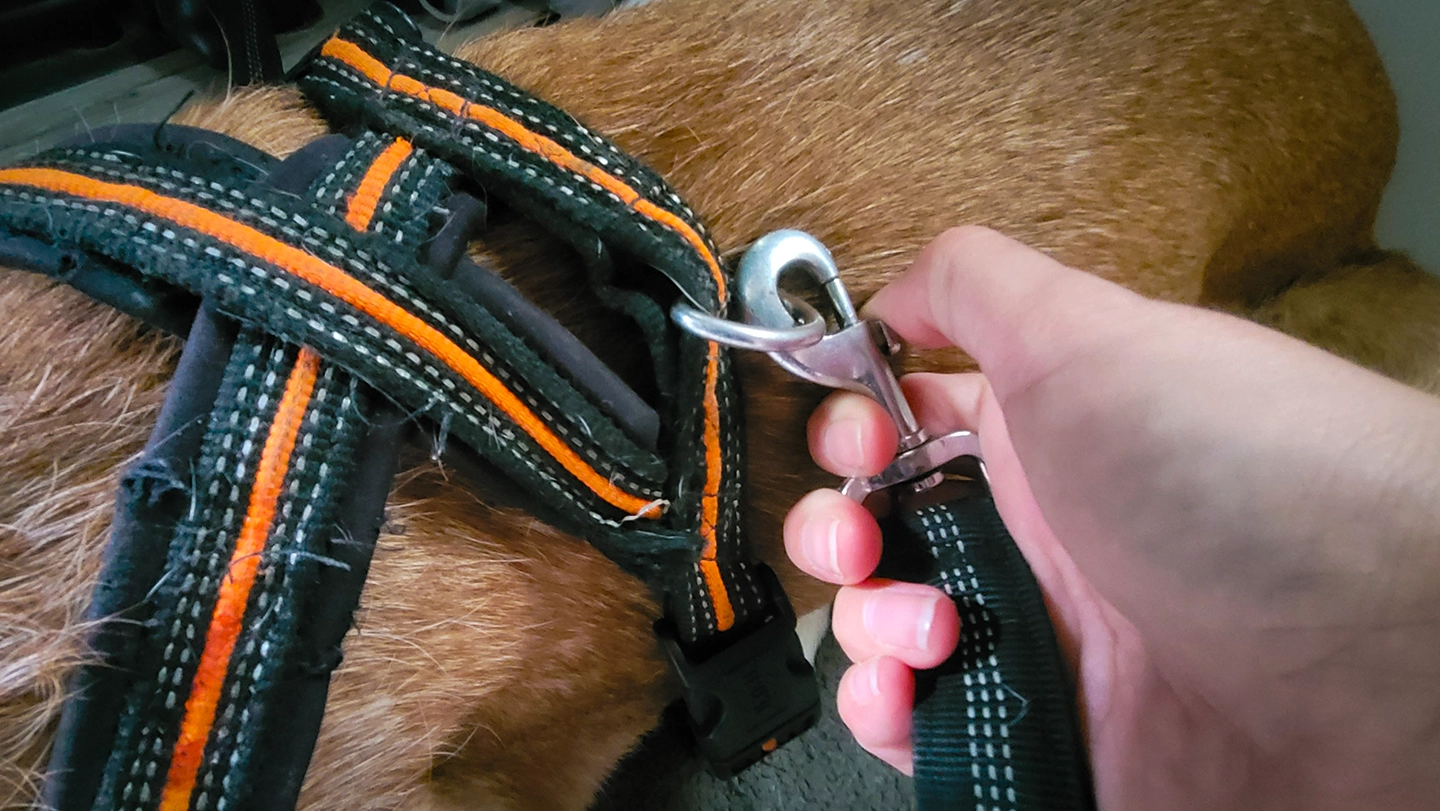 Checklist camper sujetando a Dante