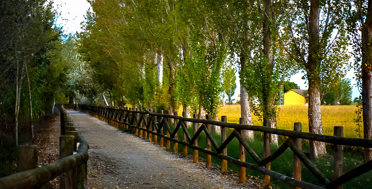 Área de autocaravanas de ascó turismo paseo treking Área de autocaravanas de ascó turismo paseo treking