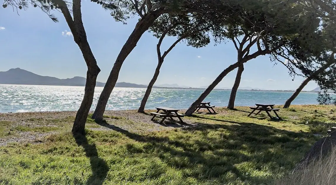 trabajaro como temporeros en mallorca la isla