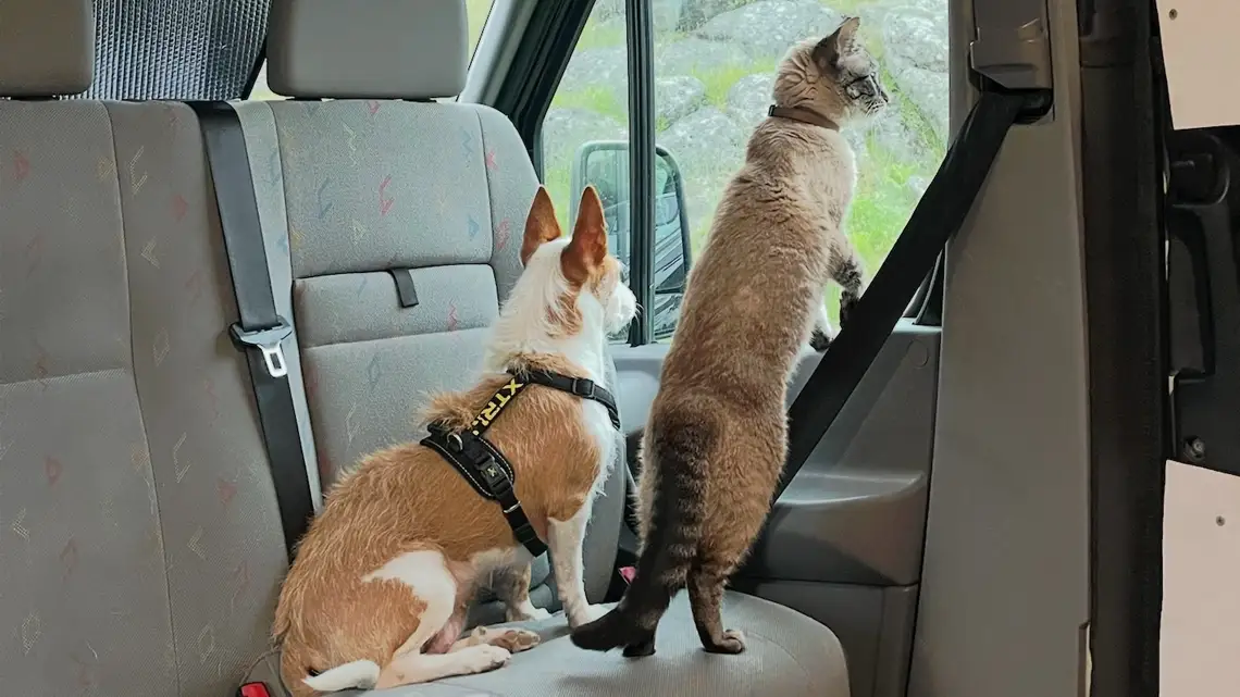 Los_balcanes_con_gato_are_y_pita viajar con gato en furgoneta