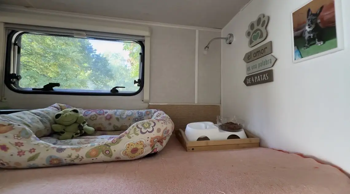 viajar con gatos en autocaravana su rioncon en la autocaravana